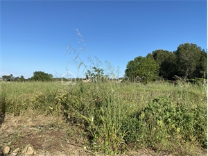 terrain à la vente -   34490  LIGNAN SUR ORB, surface 2790 m2 vente terrain - UBI470366282
